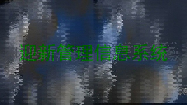 迎新管理信息系统