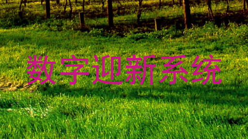 数字迎新系统