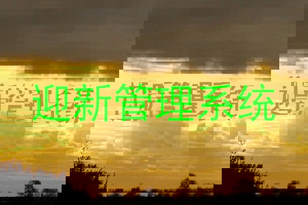 迎新管理系统