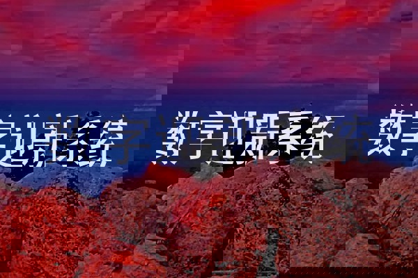 数字迎新系统