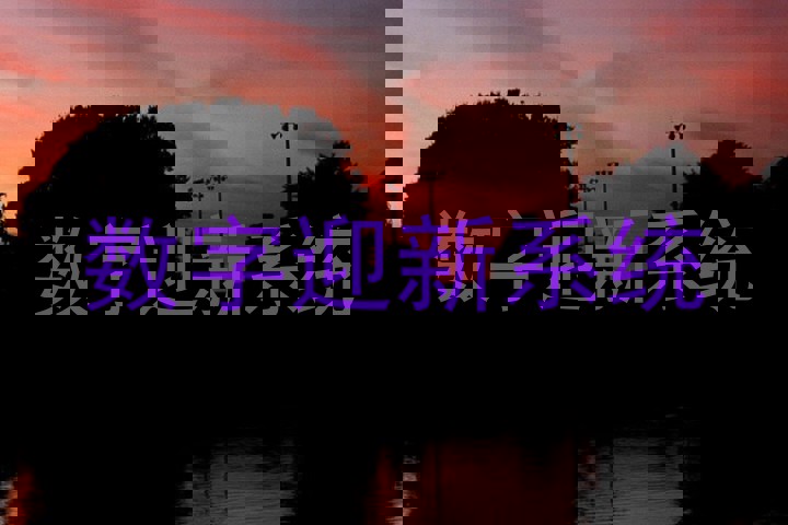 数字迎新系统