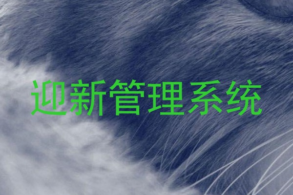 迎新管理系统
