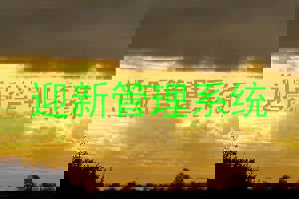 迎新管理系统