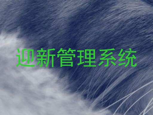 迎新管理系统