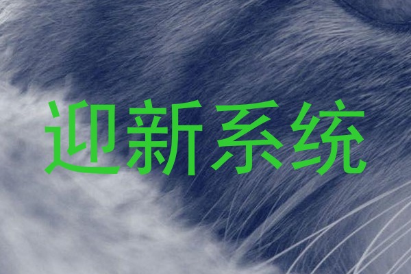 迎新系统