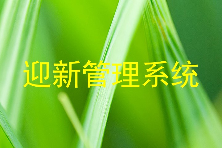 迎新管理系统