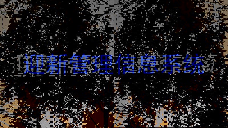 迎新管理信息系统