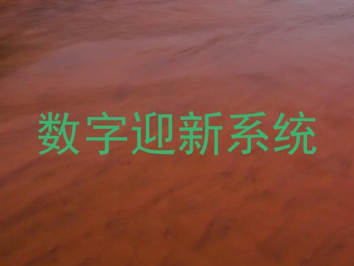 数字迎新系统