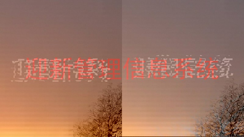 迎新管理信息系统