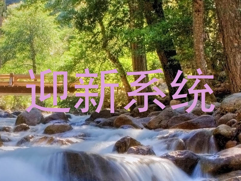 迎新系统