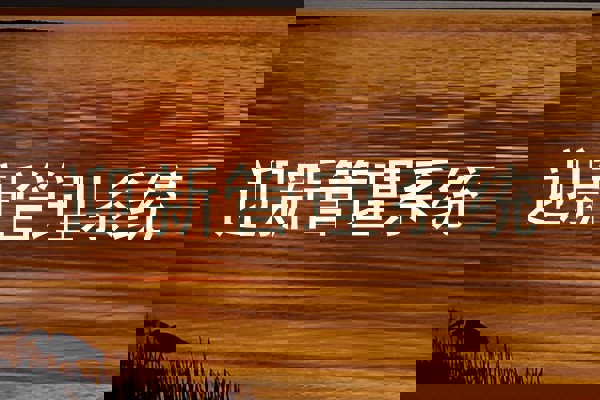 迎新管理系统