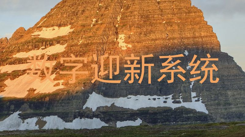 数字迎新系统