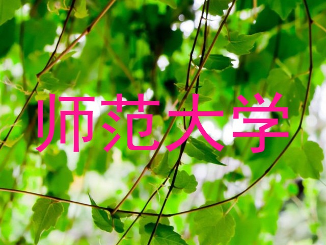 师范大学