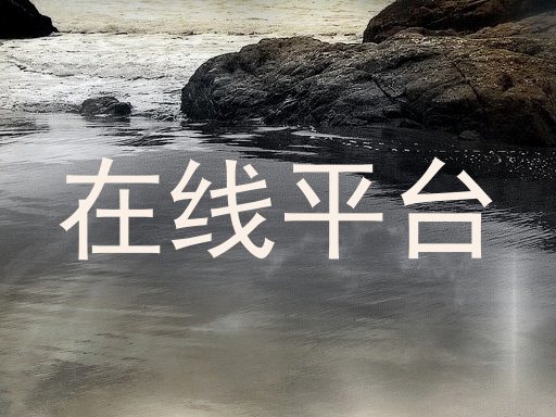 在线平台