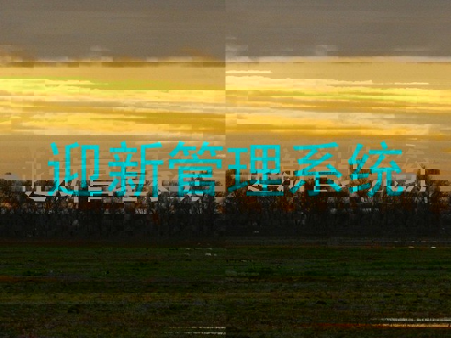 迎新管理系统