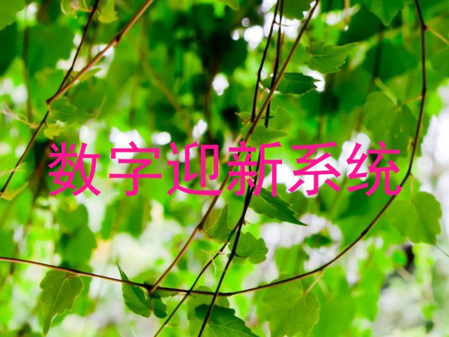 数字迎新系统
