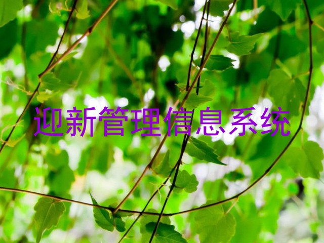 迎新管理信息系统