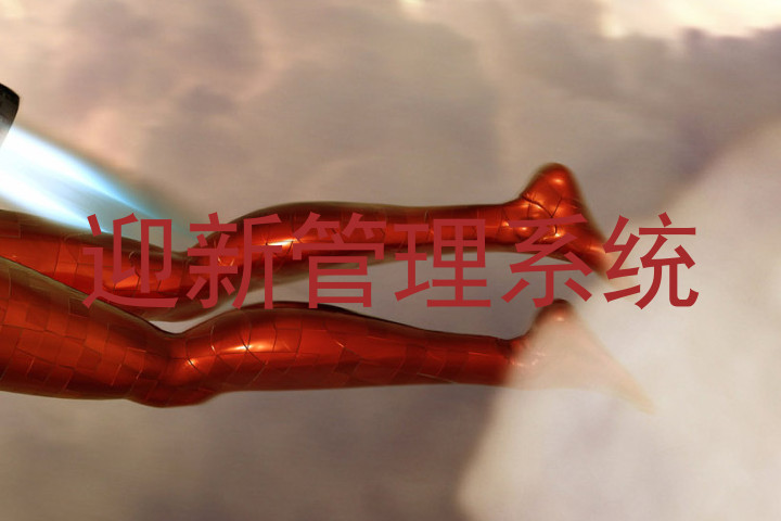 迎新管理系统