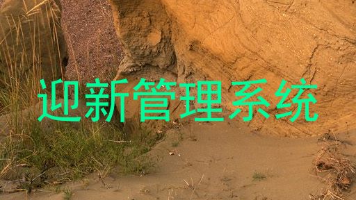 迎新管理系统