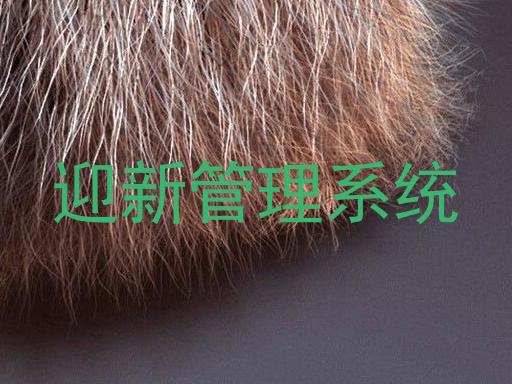 迎新管理系统