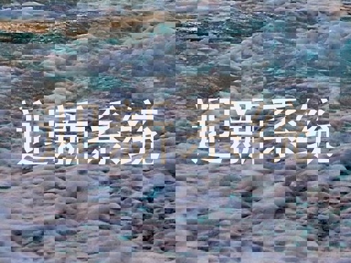 迎新系统