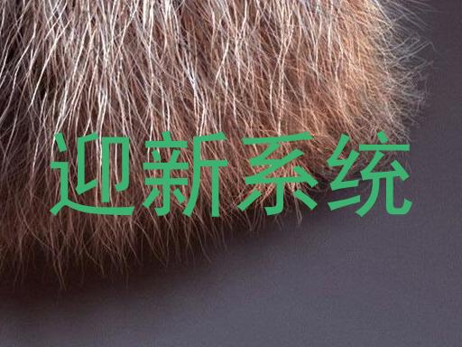 迎新系统