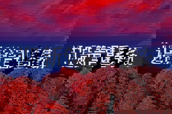 迎新管理系统