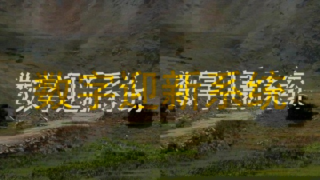数字迎新系统