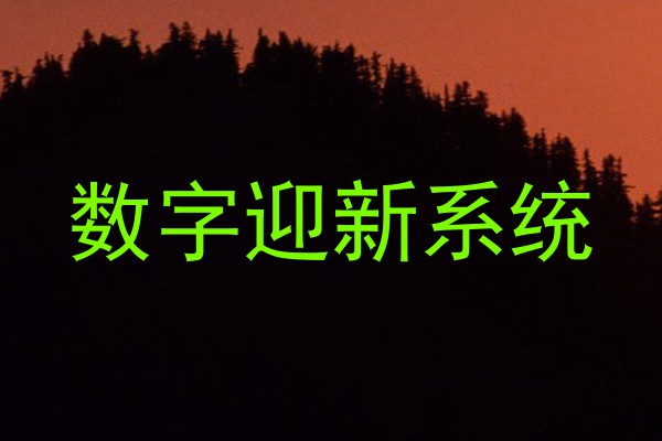 数字迎新系统