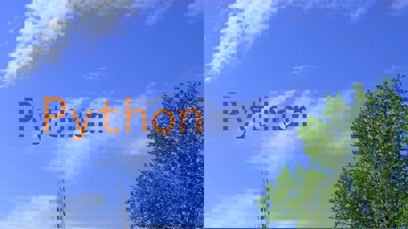Python