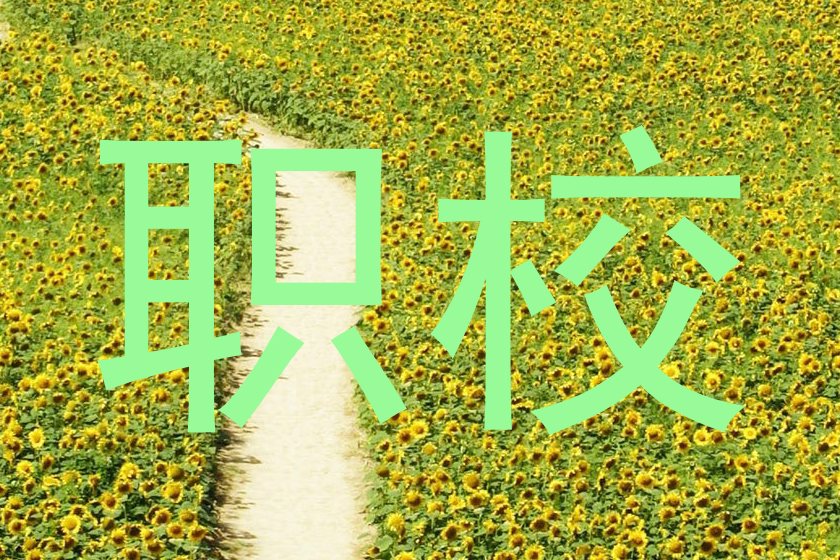 职校