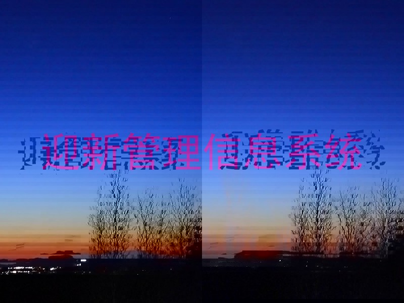 迎新管理信息系统