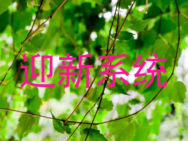 迎新系统