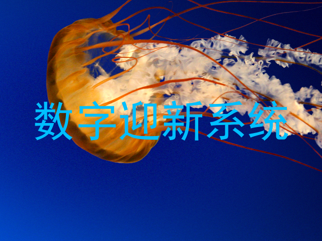 数字迎新系统