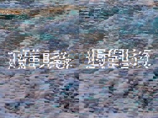 迎新管理系统