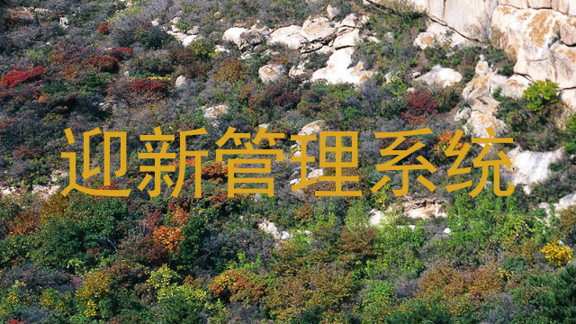 迎新管理系统