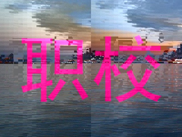 职校