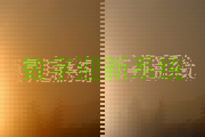 数字迎新系统