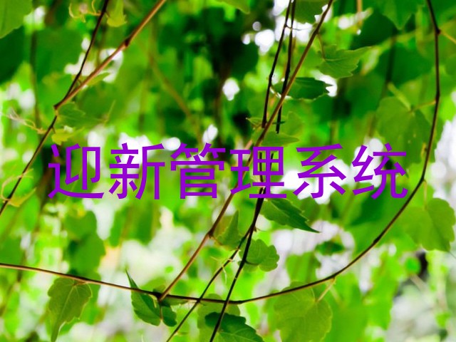 迎新管理系统
