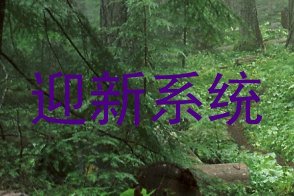 迎新系统