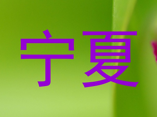宁夏