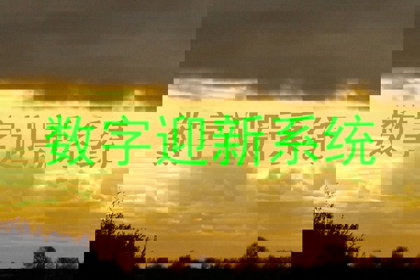 数字迎新系统