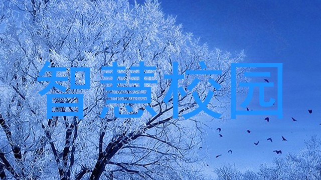 智慧校园