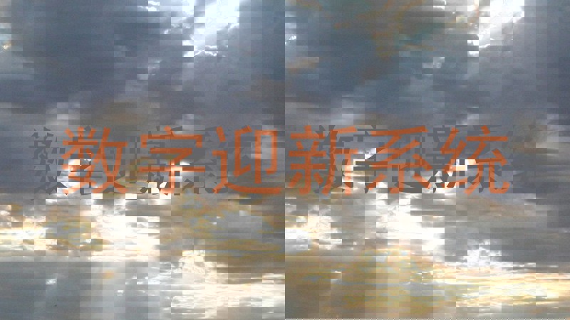 数字迎新系统