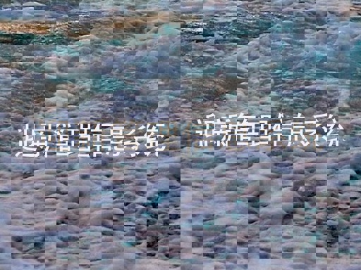 迎新管理信息系统
