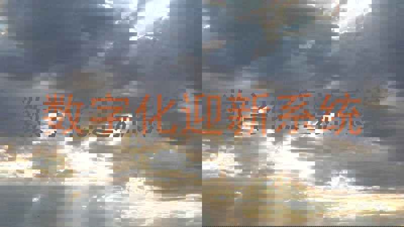 数字化迎新系统