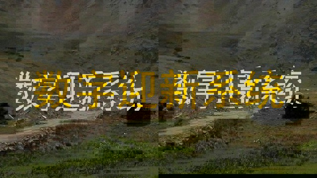 数字迎新系统