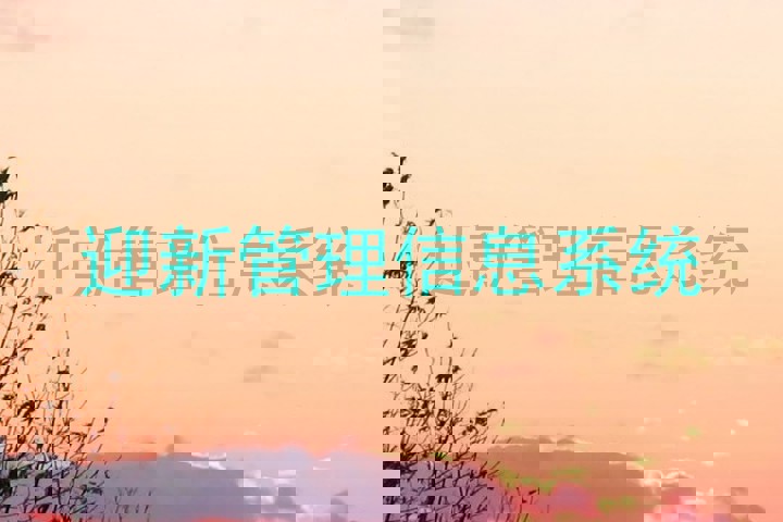 迎新管理信息系统