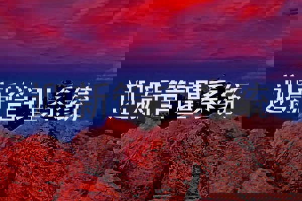 迎新管理系统