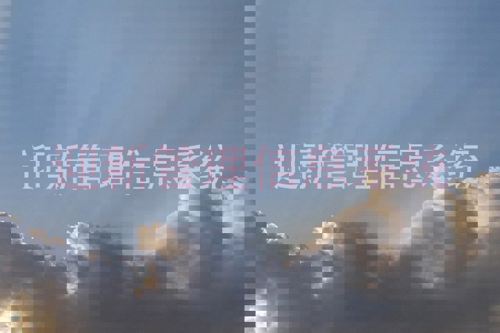 迎新管理信息系统